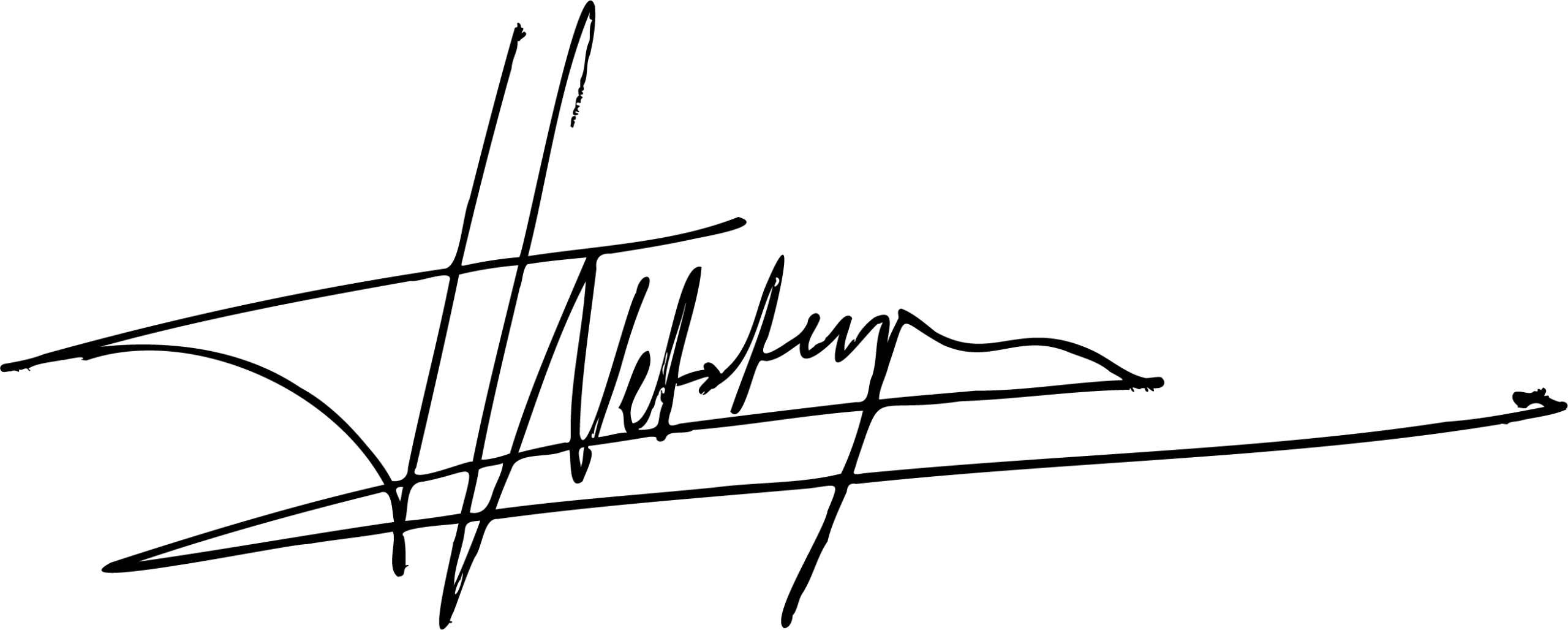 Bill Ringa signature
